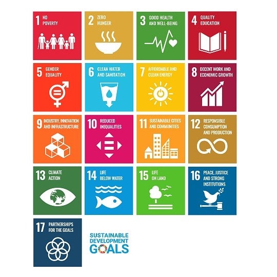 Sustainable Development Goals der Vereinten Nationen
