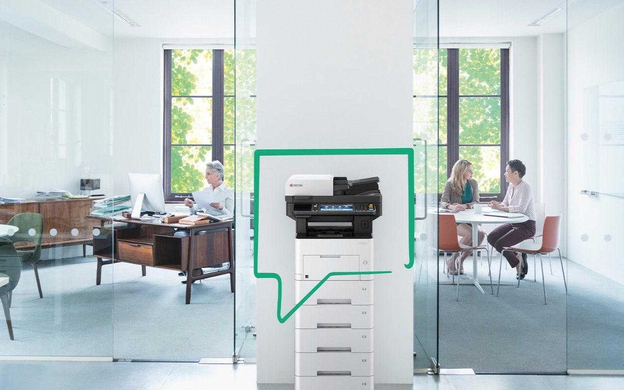 ECOSYS