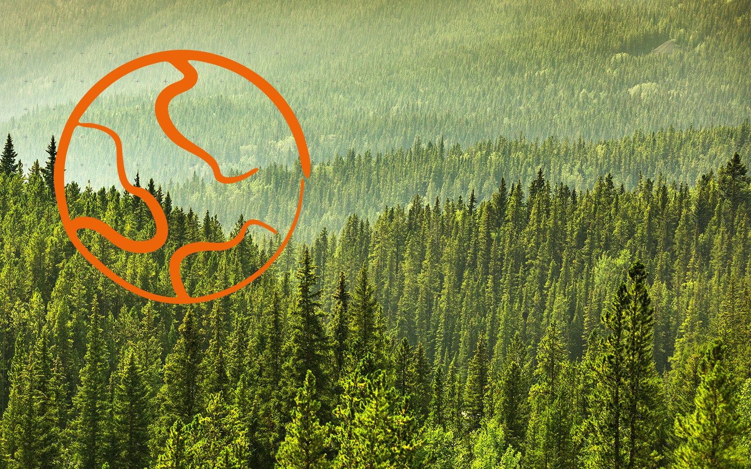 hero_1536x960_mountain-forest