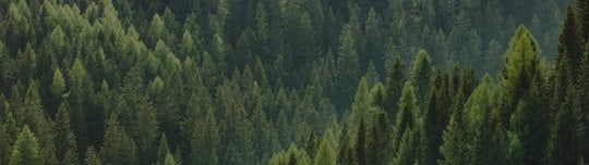 Nachhaltiges Produktdesign