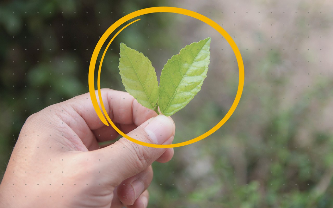 Informationen nachhaltig managen