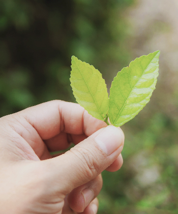 Informationen nachhaltig managen