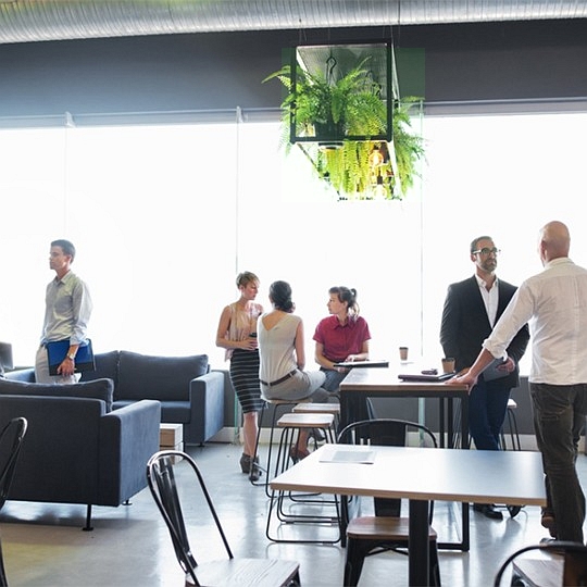 Nachhaltigkeit mit Kyocera